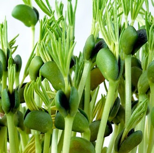 CEV e Lusosem assinam acordo de distribuição exclusiva da BLAD para Portugal